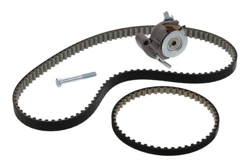 Timing belt kit with oil - timing,