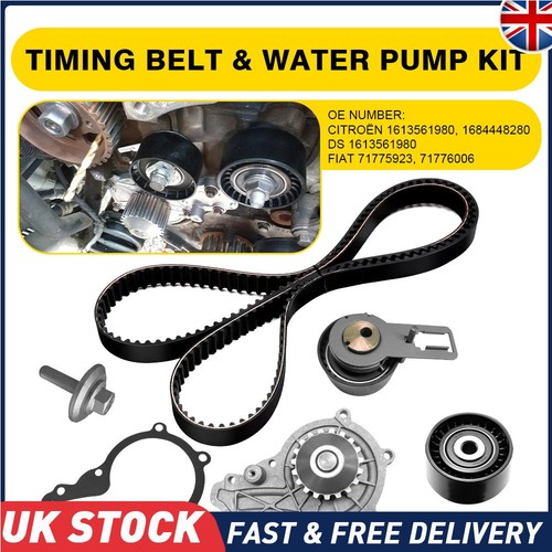 Timing belt water - timing,